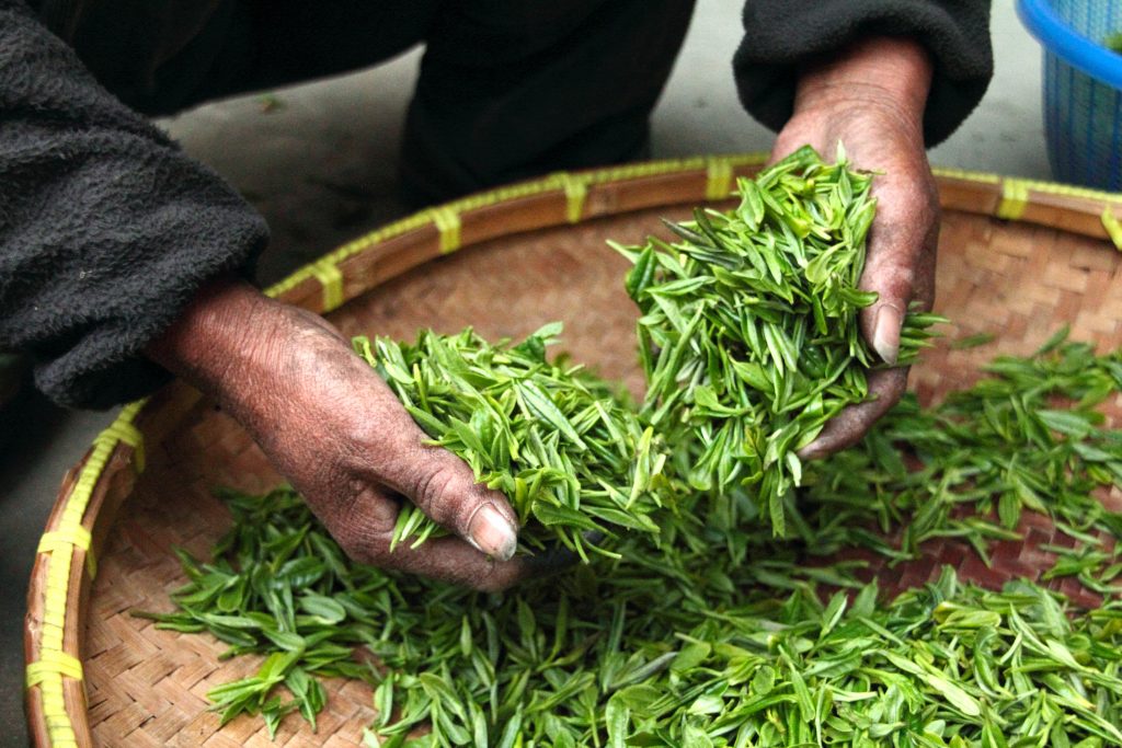 Green tea