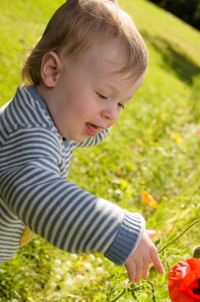 Jonah finds a poppy!
