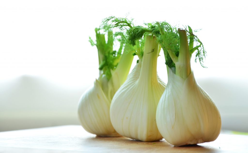Fennel is traditionally used as a galactagogue