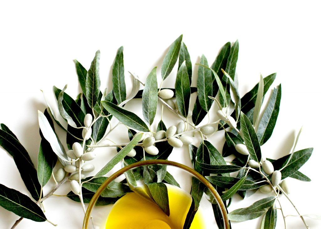 Olive fruits and oil