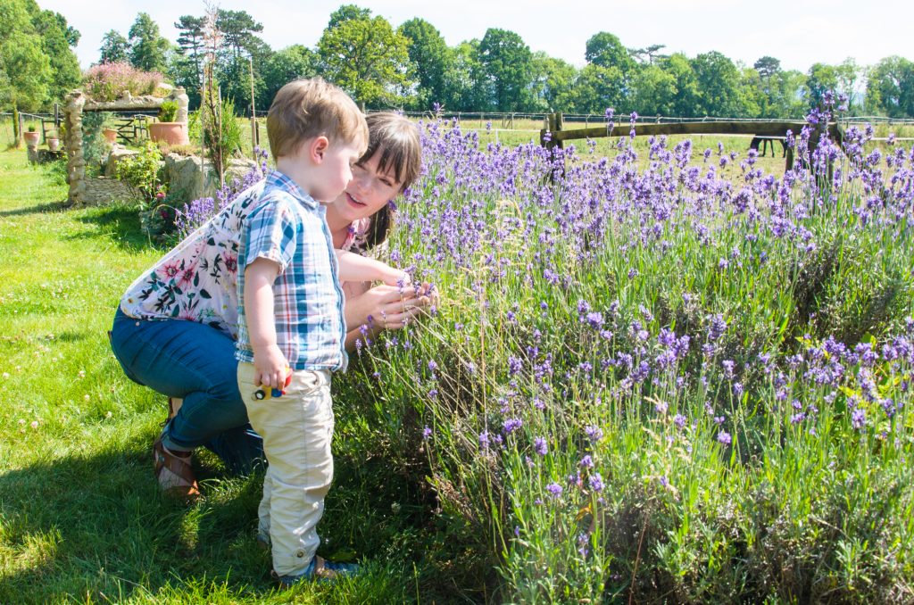 Mummy and Jonah looking at lavender together