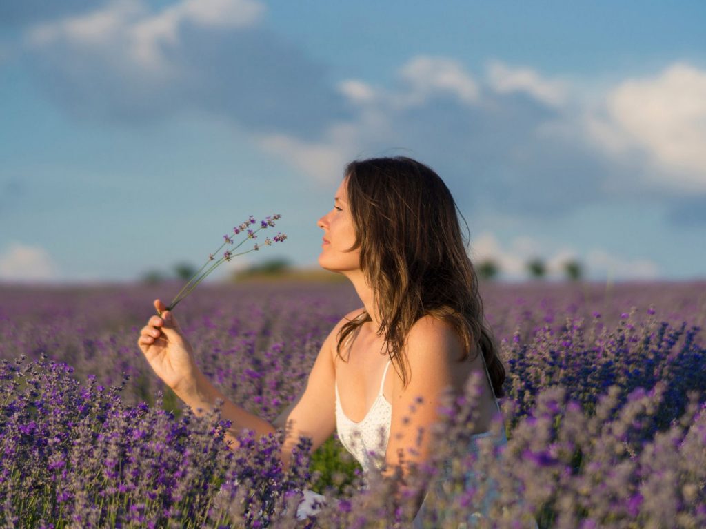 Lavender is well known for its sedative and anxiety-reducing properties
