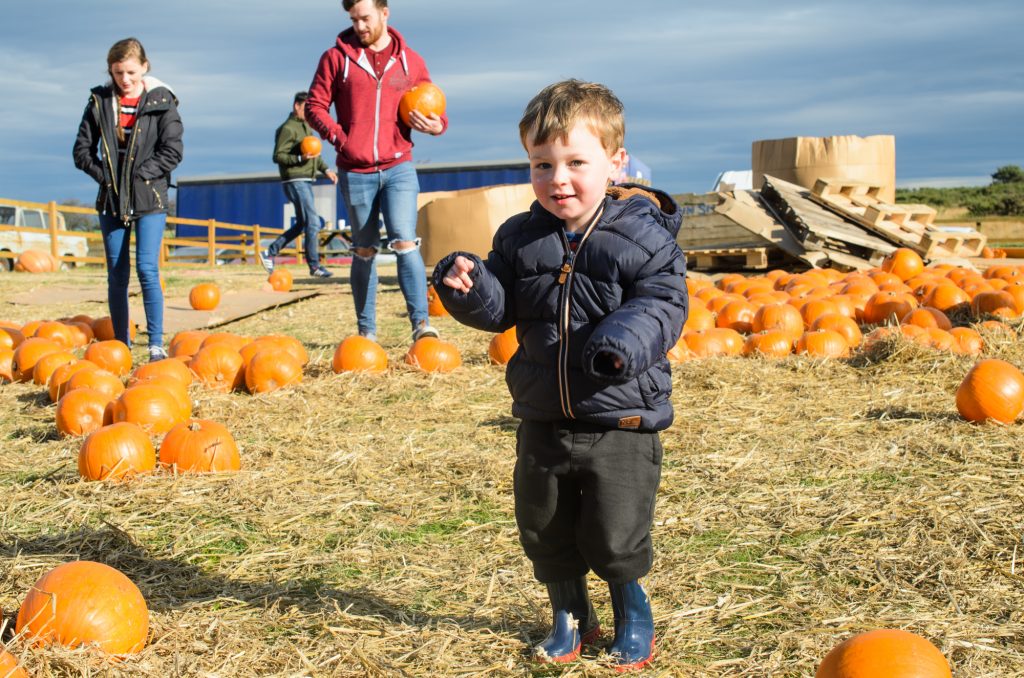 Hunting pumpkins