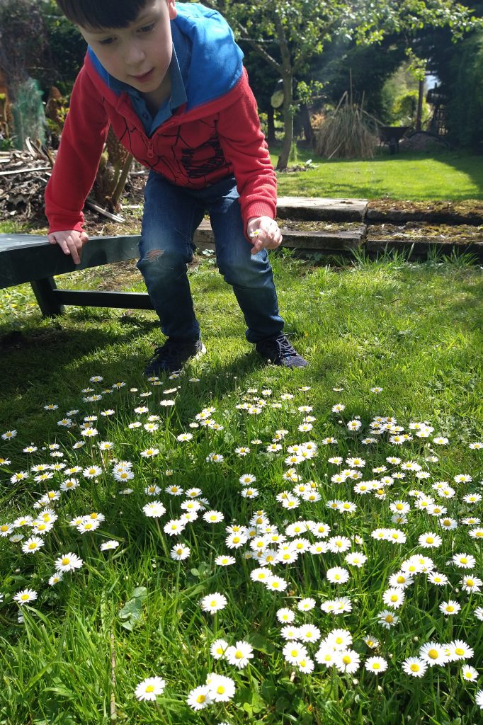 Jonah in the daisies