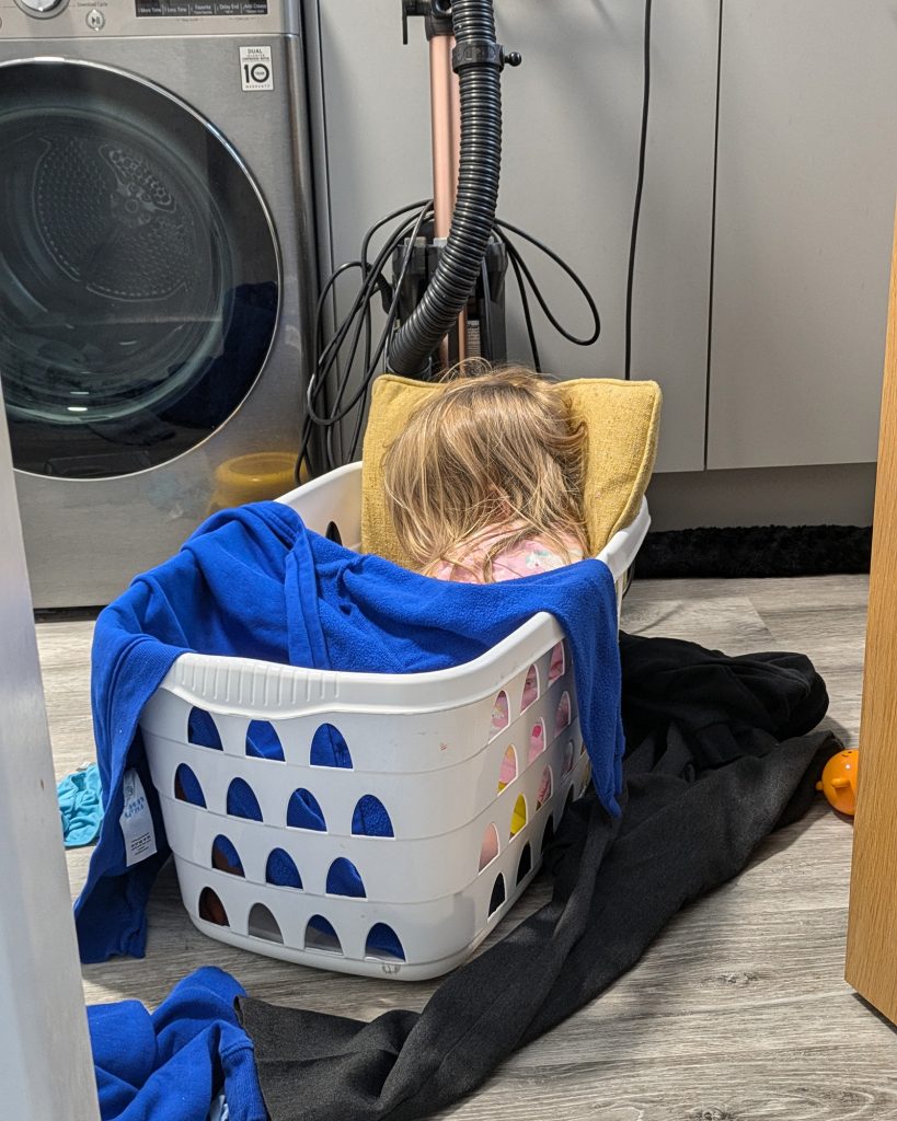 Asleep in the washing basket