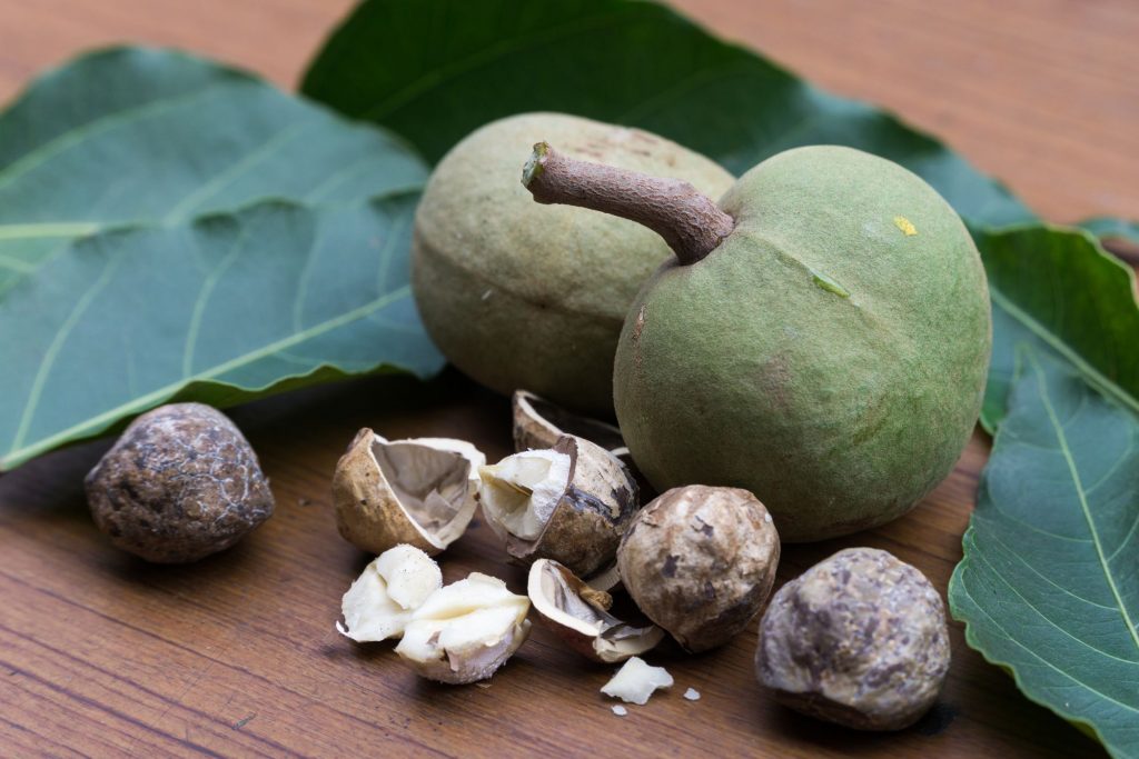 Kukui nut oil helps collagen production