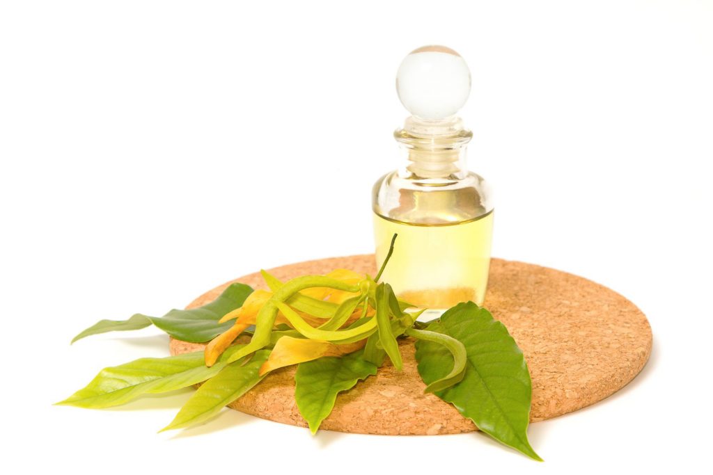 Blissful ylang-ylang