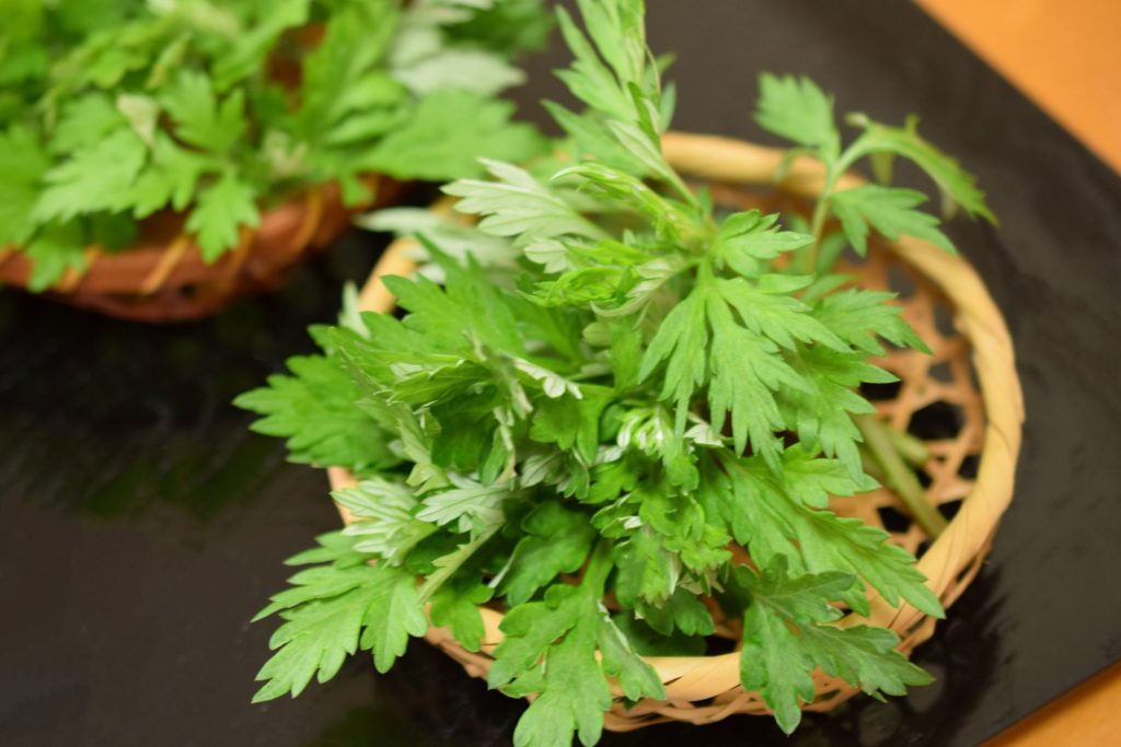 Geomundo Mugwort Line
